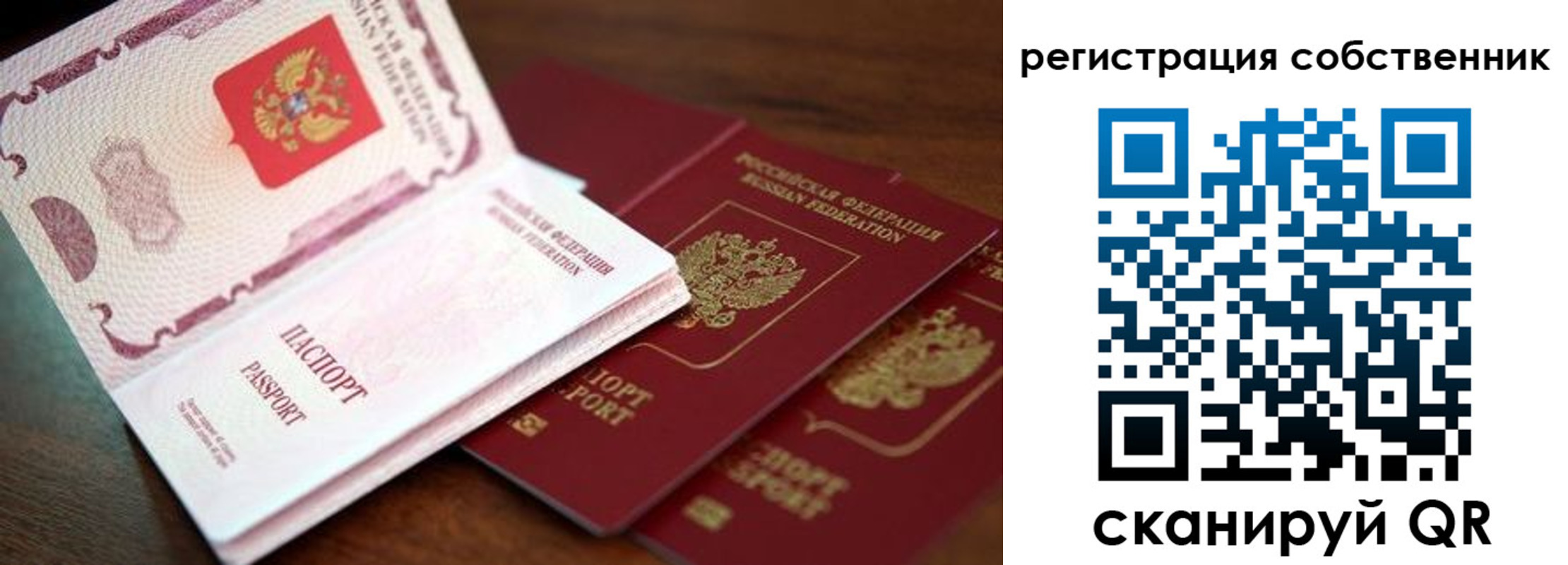 прописка гарантия в Кургане